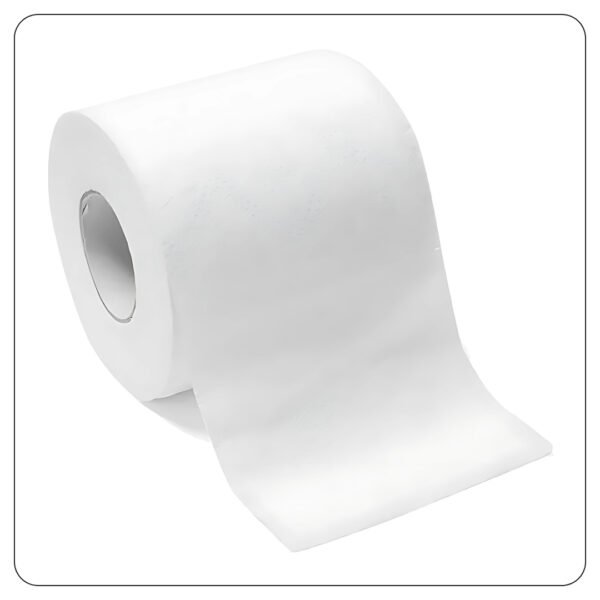 Toilet Paper 2 Play 4x3 - Image 2