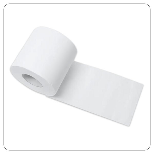 Toilet Paper 2 Play 4x3 - Image 3
