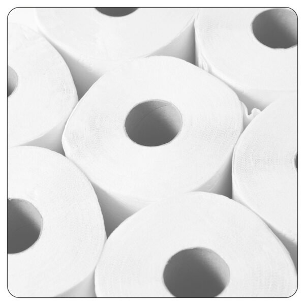 Toilet Paper 2 Play 4x3 - Image 4