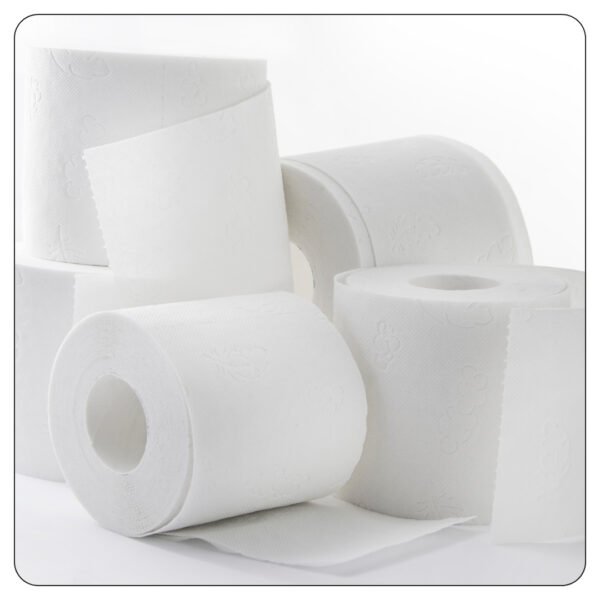 Paper Toilet Micro-Core Bath N-376 2 Ply 36/ Cs - Image 4