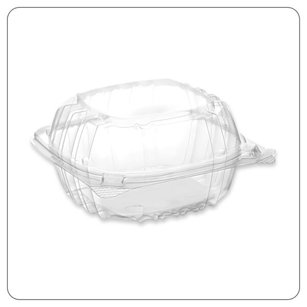 Hinged Lid Plastic Container Clear 6" x 5 13/16" x 3"