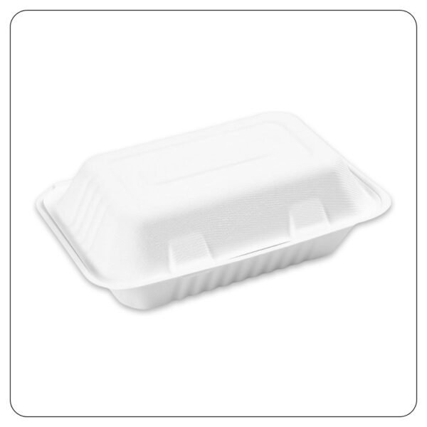 Compostable Sugarcane/ Bassage 1 Comparment Take Out Container 9x6x3