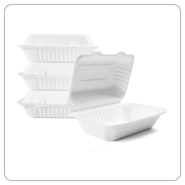 Compostable Sugarcane/ Bassage 1 Comparment Take Out Container 9x6x3 - Image 2