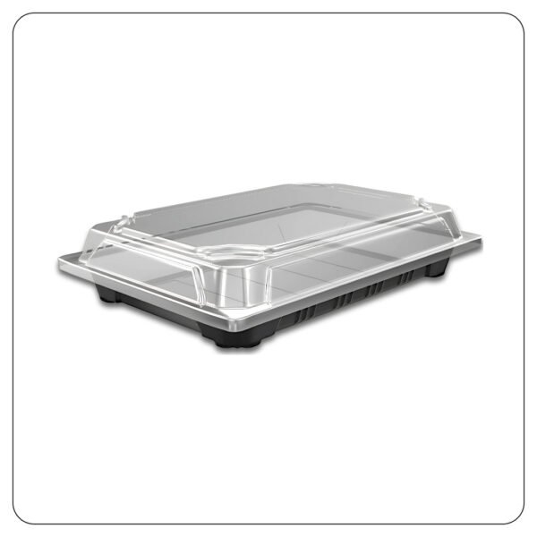 Extra Large SushiContainer with Lid 5" x 7 1/2" - Image 3