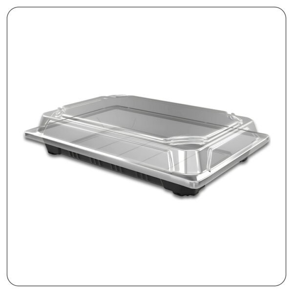 Extra Large SushiContainer with Lid 5" x 7 1/2"